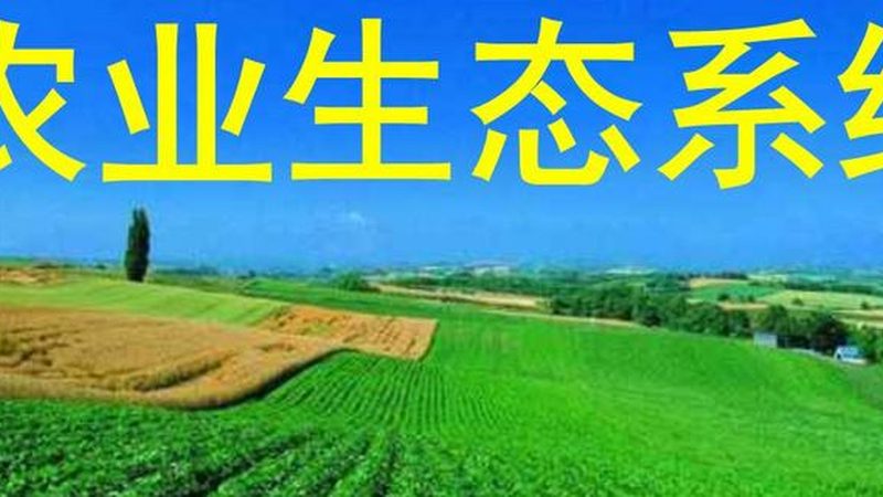 绿色食品认证：农业企业迈向高品质的通行证