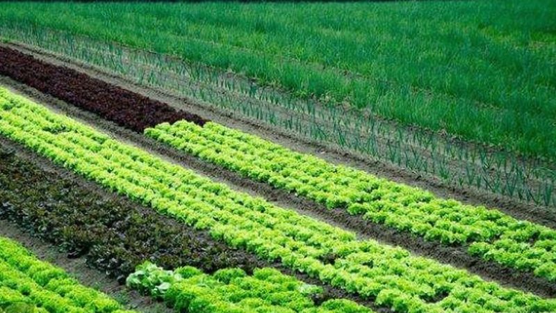 办理资质需要准备以下材料：