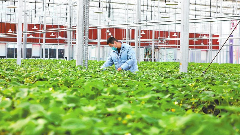 农产品批发市场质量安全标准全解析**