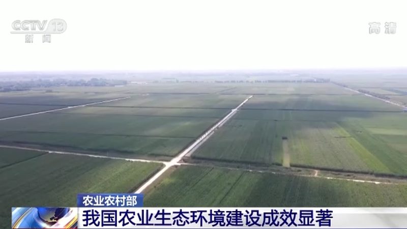 水果种植入门：新手必知的四大要点**