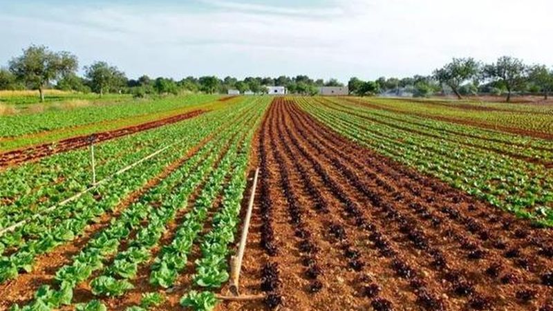 智慧农业种植系统：标准规范引领未来