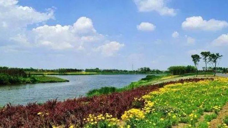 申请农业产业园补贴，首先需要拥有符合要求的土地。具体要求包括：