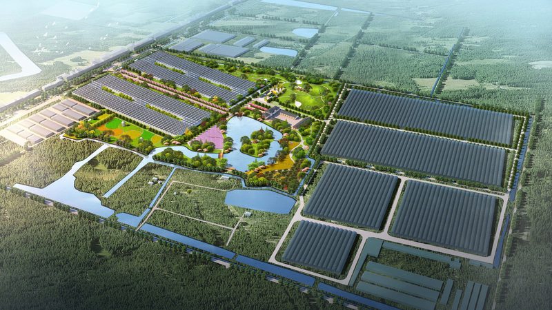 智慧农业种植系统：如何选择最适合的解决方案