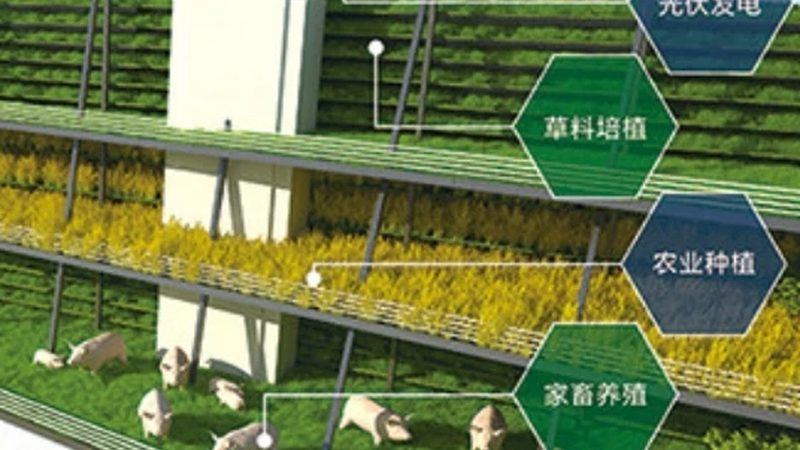 农产品配送如何提升利润？案例分析揭示关键