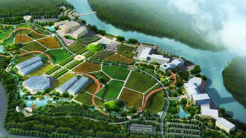 无土栽培农业项目：揭秘其可行性报告的关键要素