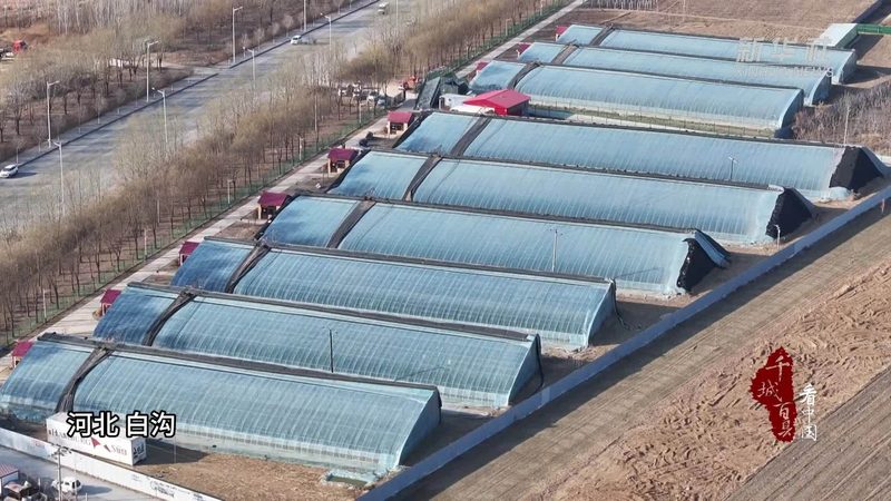 粮食种植机械：剖析其优缺点，助力农业现代化