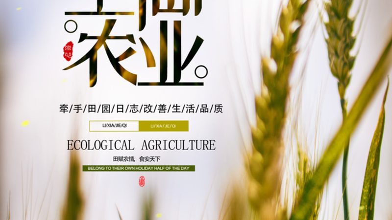 智慧农业种植管理系统：标准规范与实施要点